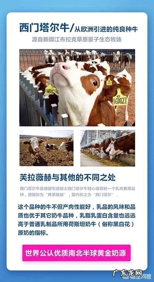 什么牛奶对人体最好?