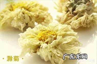 野菊花茶和菊花茶有什么区别?