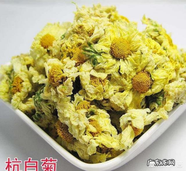 野菊花茶和菊花茶有什么区别?