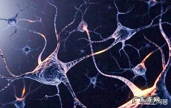 梦里的陌生人,陌生的场景,陌生的事,怎么回事?为什么会感觉如此真实?