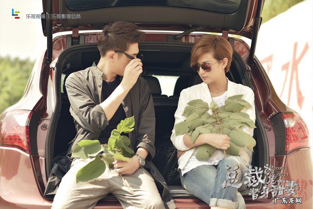 顾西城和贺锦兮电视剧叫什么名