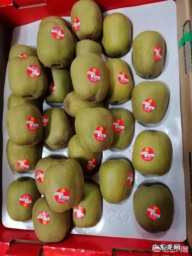 奇异果和猕猴桃是同一种水果吗?如果不是,两者又有何区别?