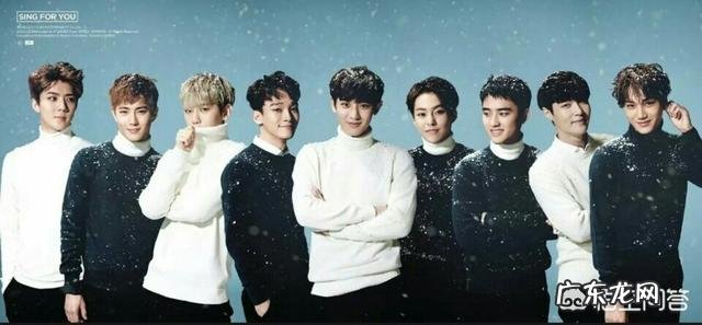 为什么有一部分国人会喜欢韩国明星