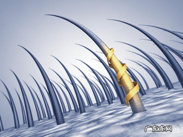 哪位朋友可以推荐一款去屑止痒的洗发水?