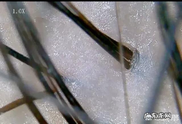 哪位朋友可以推荐一款去屑止痒的洗发水?