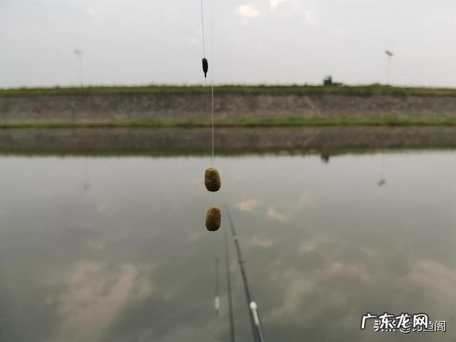 冬天用什么饵料钓鲤鱼最好?