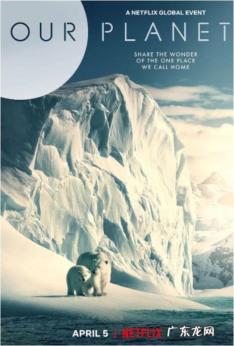 你看过哪部电影是呼唤人类要保护地球环境的?你看后有何感想?