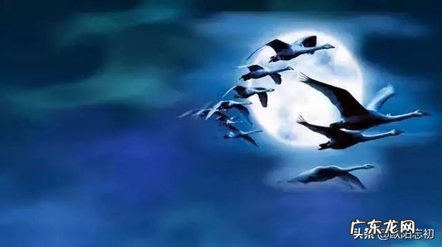 你看过哪部电影是呼唤人类要保护地球环境的?你看后有何感想?