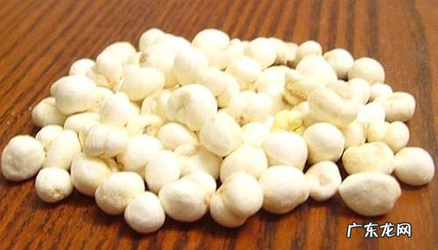 贝母的功效有哪些,适合哪些人?