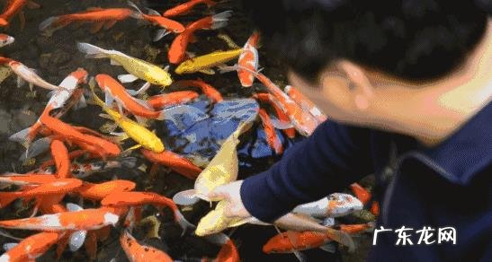 杭州最好的酒店是哪个?