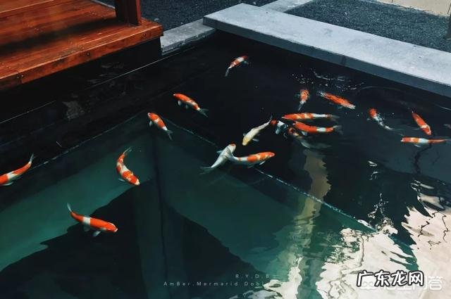 杭州最好的酒店是哪个?