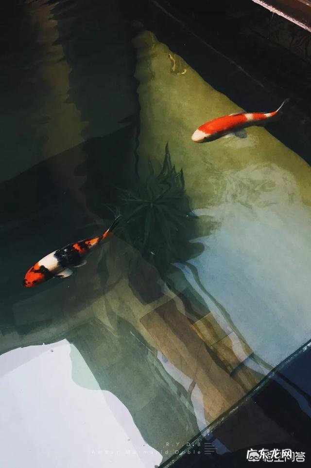 杭州最好的酒店是哪个?