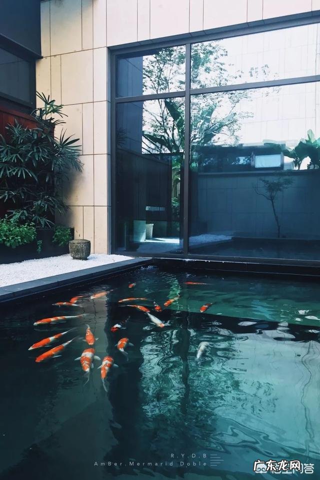 杭州最好的酒店是哪个?