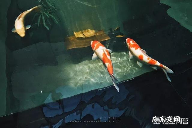 杭州最好的酒店是哪个?