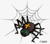 家里蜘蛛有什么作用