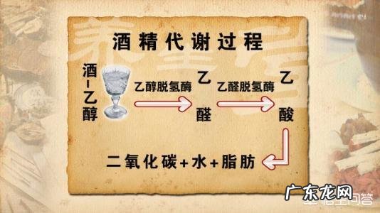 多喝酒却不醉的小妙招都有哪些?