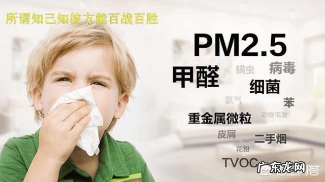 怎样快速除甲醛?