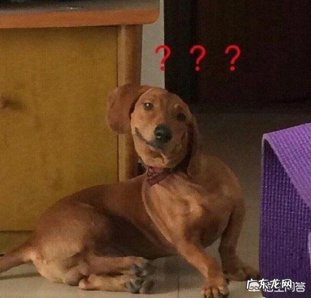 脸胖身上瘦,打瘦脸针真的有效果吗?