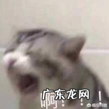 脸胖身上瘦,打瘦脸针真的有效果吗?