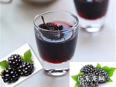 桑葚对人的身体有哪些好处?