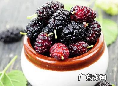 桑葚对人的身体有哪些好处?