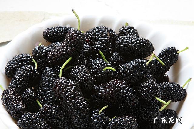 桑葚对人的身体有哪些好处?