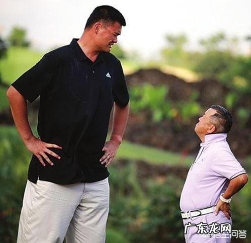 能瞬间让你笑到肚子疼的明星组合有哪些？