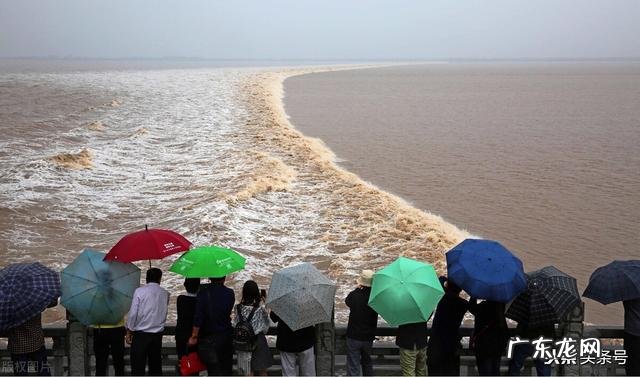 金庸小说里的中秋节有哪些令人难忘的记忆?