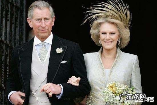 英国王储查尔斯王子的现任妻子卡米拉为什么是伴妃而不是王妃呢？对此你怎么看？