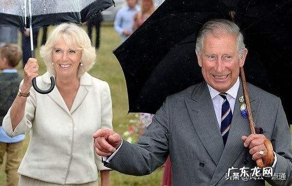 英国王储查尔斯王子的现任妻子卡米拉为什么是伴妃而不是王妃呢?对此你怎么看?