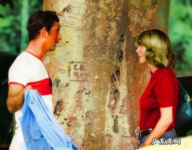 英国王储查尔斯王子的现任妻子卡米拉为什么是伴妃而不是王妃呢？对此你怎么看？