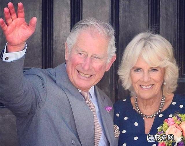 英国王储查尔斯王子的现任妻子卡米拉为什么是伴妃而不是王妃呢？对此你怎么看？