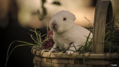 孔雪儿和刘雨昕之间的关系有多好