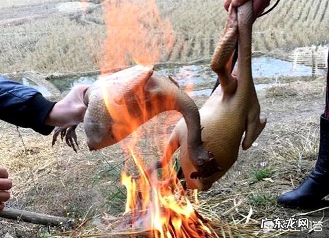 鸡汤怎么炖才好喝?