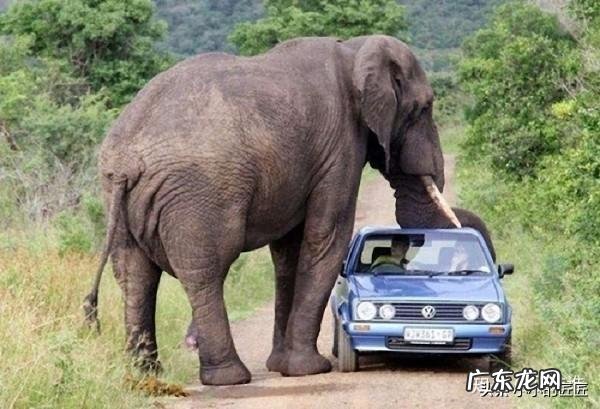 人类缩小一百倍还能统zhi地球吗