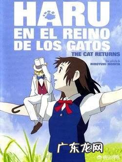 相信很多人看过宫崎骏的电影，其中每一部都不止看过一次，你们觉得宫崎骏的电影怎么样？