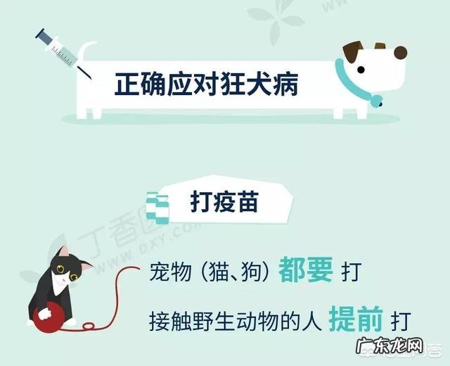 中医能zhi疗狂犬病吗有什么证据或案例吗