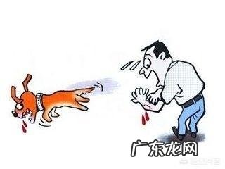 中医能zhi疗狂犬病吗有什么证据或案例吗