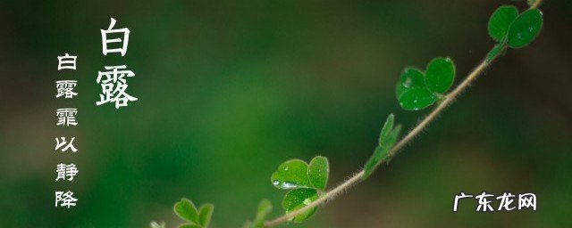 白露出生的男孩起名