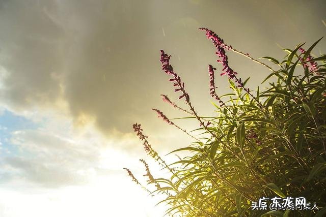 有什么投资少见效快的小生意可以推荐?