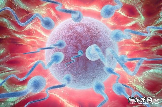 女人的一生,有多少次怀孕机会?35岁后,怀孕率为何会下降?