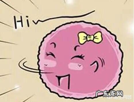 女人的一生,有多少次怀孕机会?35岁后,怀孕率为何会下降?