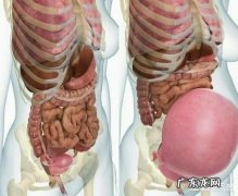 女人的一生，有多少次怀孕机会？35岁后，怀孕率为何会下降？