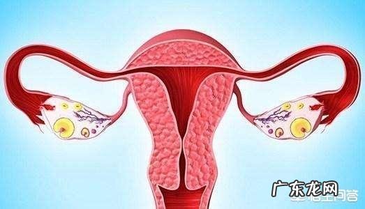 女人的一生,有多少次怀孕机会?35岁后,怀孕率为何会下降?