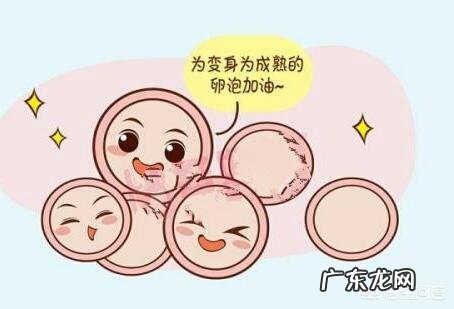 女人的一生,有多少次怀孕机会?35岁后,怀孕率为何会下降?