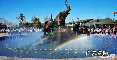 在临沂,什么地方最好玩?