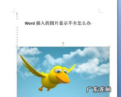 word图片显示不全只有一半怎么办
