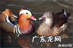 如何面对婚姻？