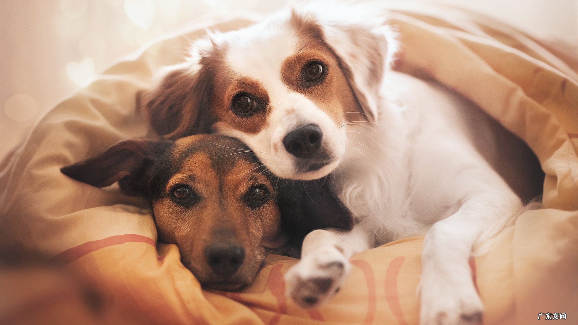 痰湿体质代谢低,怎么减肥