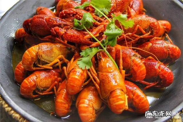 你对长沙小吃的评价如何?